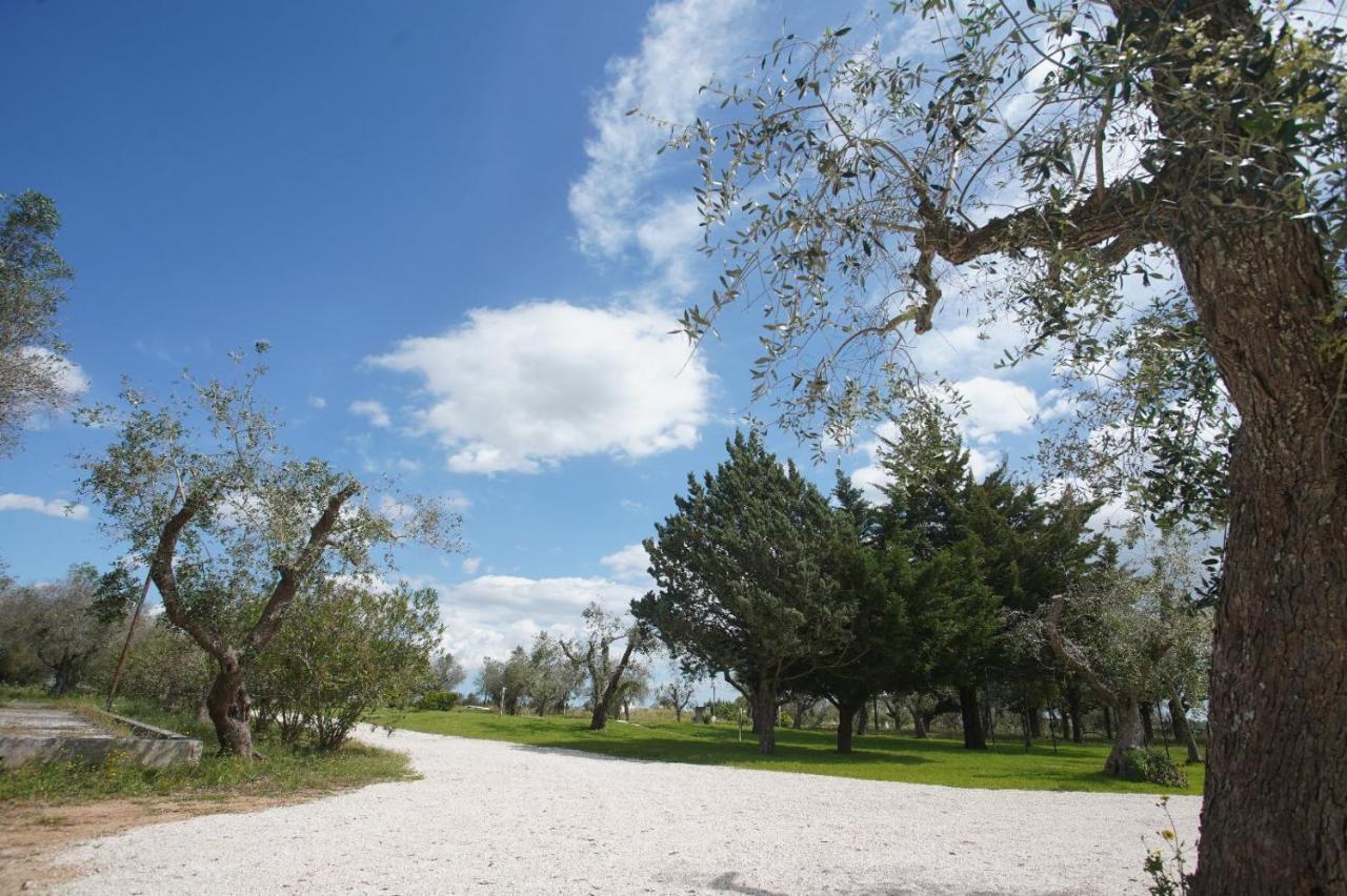 Gli Ulivi Di Gino Bed & Breakfast Sanarica Eksteriør bilde