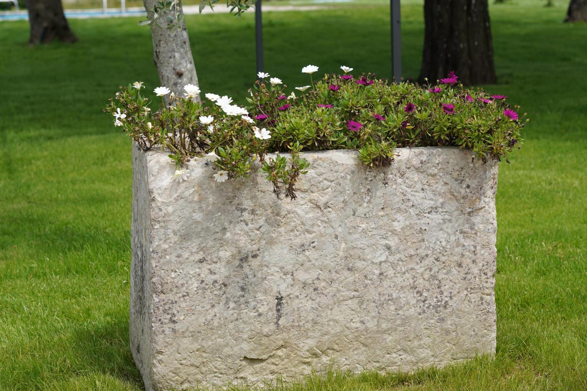 Gli Ulivi Di Gino Bed & Breakfast Sanarica Eksteriør bilde